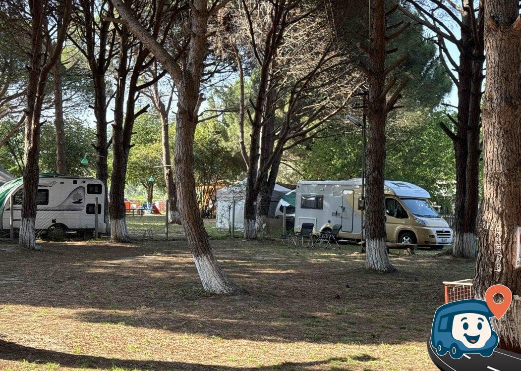Ant Camping - Erdek, Balıkesir, foto 5