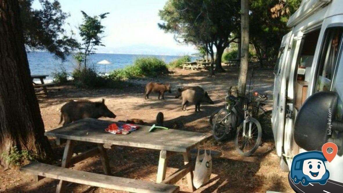 Dilek Yarımadası Milli Parkı - Kuşadası, Aydın, foto 2