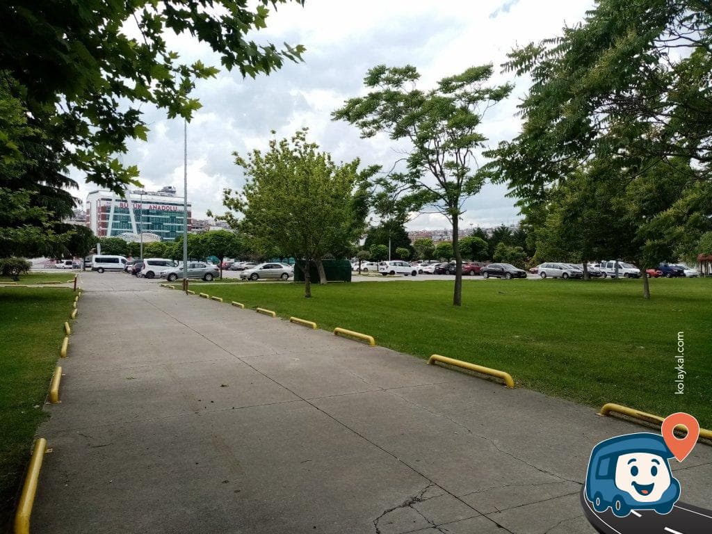 Samsun Spor Parkı - İlkadım, foto 4