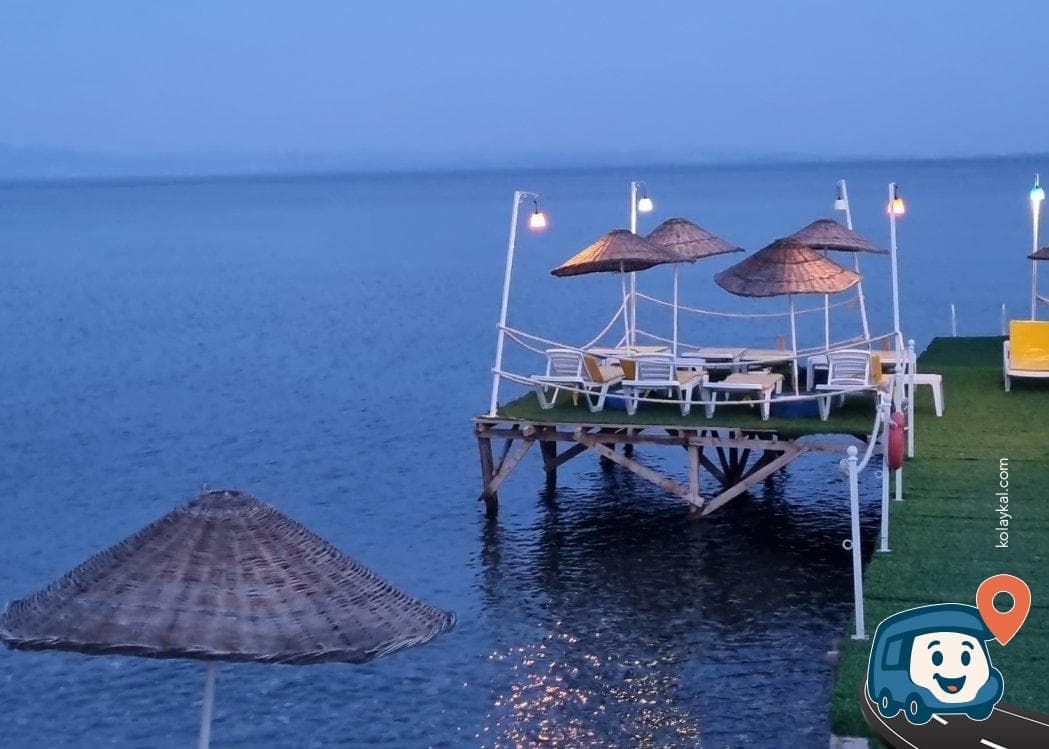 Ege Denizi Zeytin Ağaçları Arası Sahil Otoparkı - Ayvacık, Çanakkale, foto 4