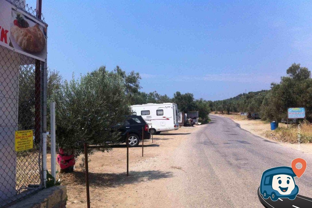Ege Denizi Zeytin Ağaçları Arası Sahil Otoparkı - Ayvacık, Çanakkale, foto 2
