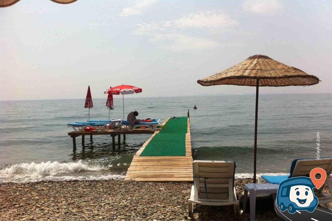 Ege Denizi Zeytin Ağaçları Arası Sahil Otoparkı - Ayvacık, Çanakkale, foto 1