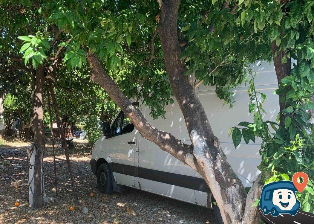 Myra Antik Kenti Yanı Otopark ve Kamp Alanı - Demre, Antalya, foto 4