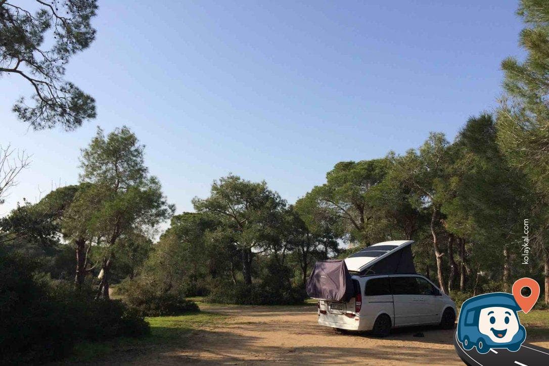 Piknik Alanı - Manavgat, Antalya, foto 1