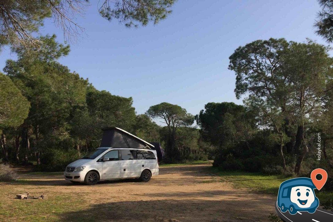 Piknik Alanı - Manavgat, Antalya, foto 2