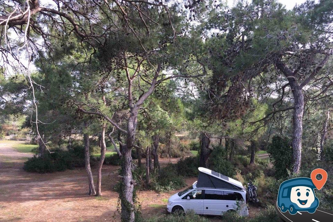 Piknik Alanı - Manavgat, Antalya, foto 3