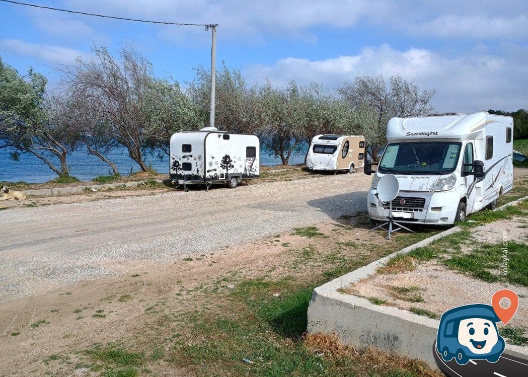 Çanakkale Sahili Zeytin Ağaçları Altı Kamp ve Piknik Alanı - Lapseki, foto 3