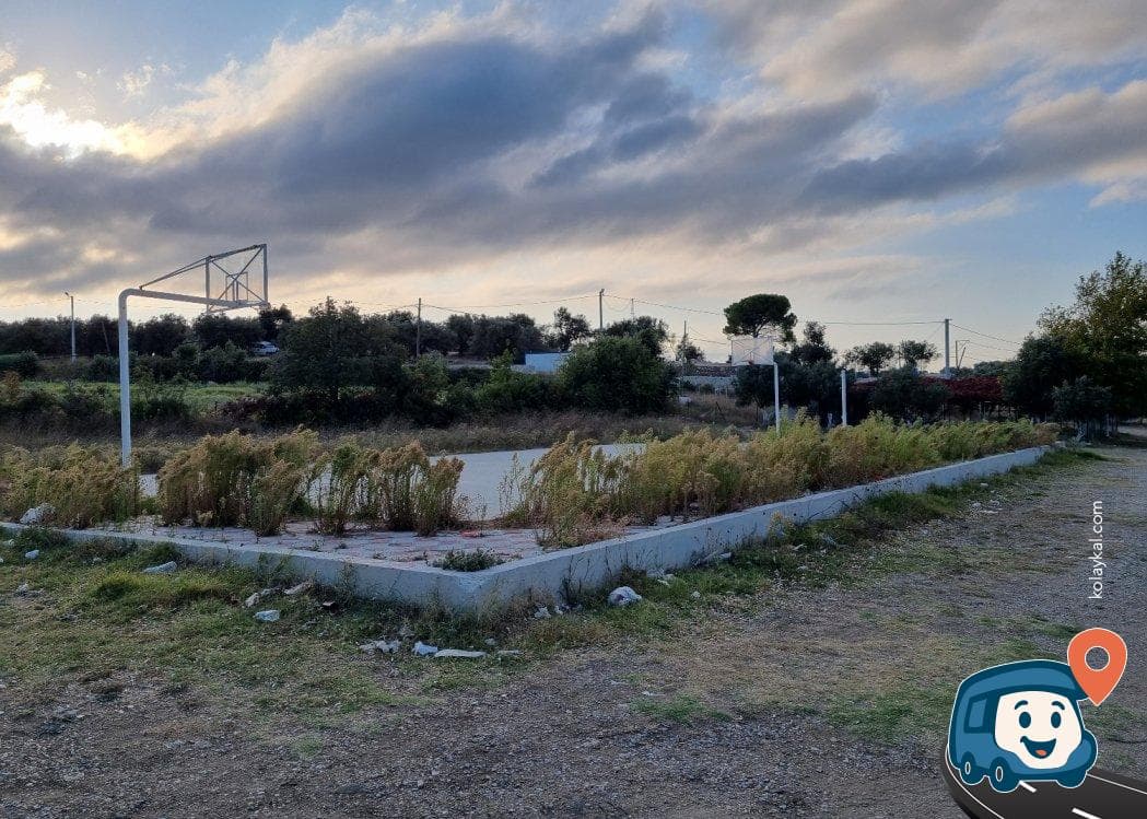 Çanakkale Sahili Zeytin Ağaçları Altı Kamp ve Piknik Alanı - Lapseki, foto 1