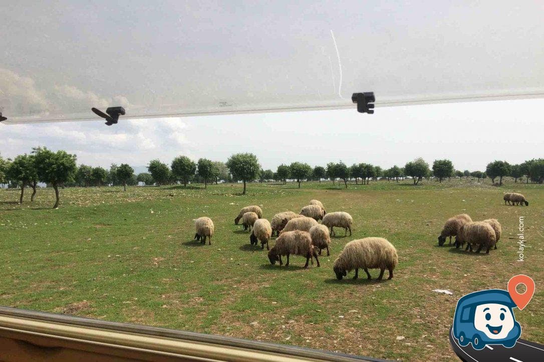 Göl Kenarı Vahşi Kamp Alanı - Kozluk, Batman, foto 8