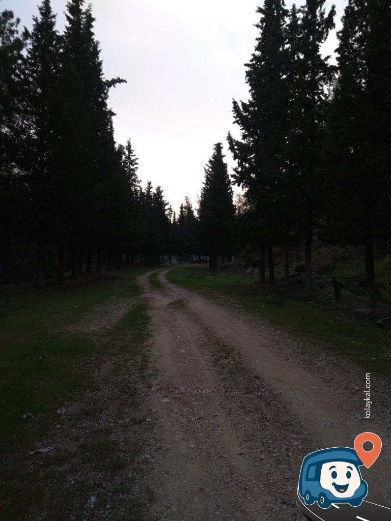 Demirköprü Baraj Gölü Piknik Alanı - Salihli, Manisa, foto 2