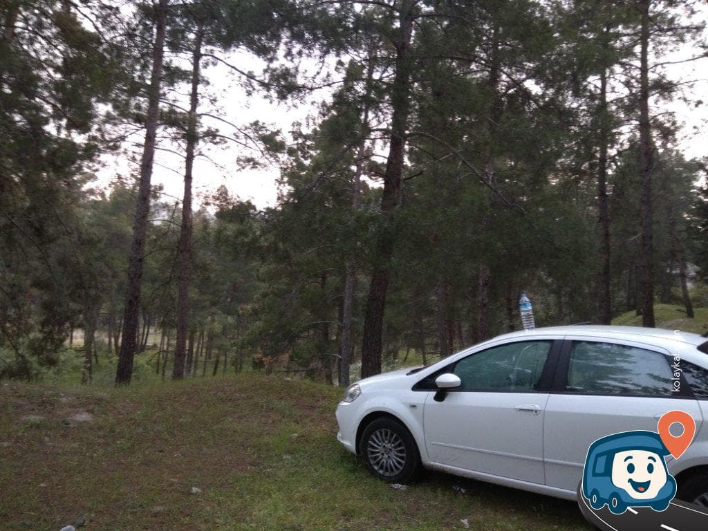 Demirköprü Baraj Gölü Piknik Alanı - Salihli, Manisa, foto 3