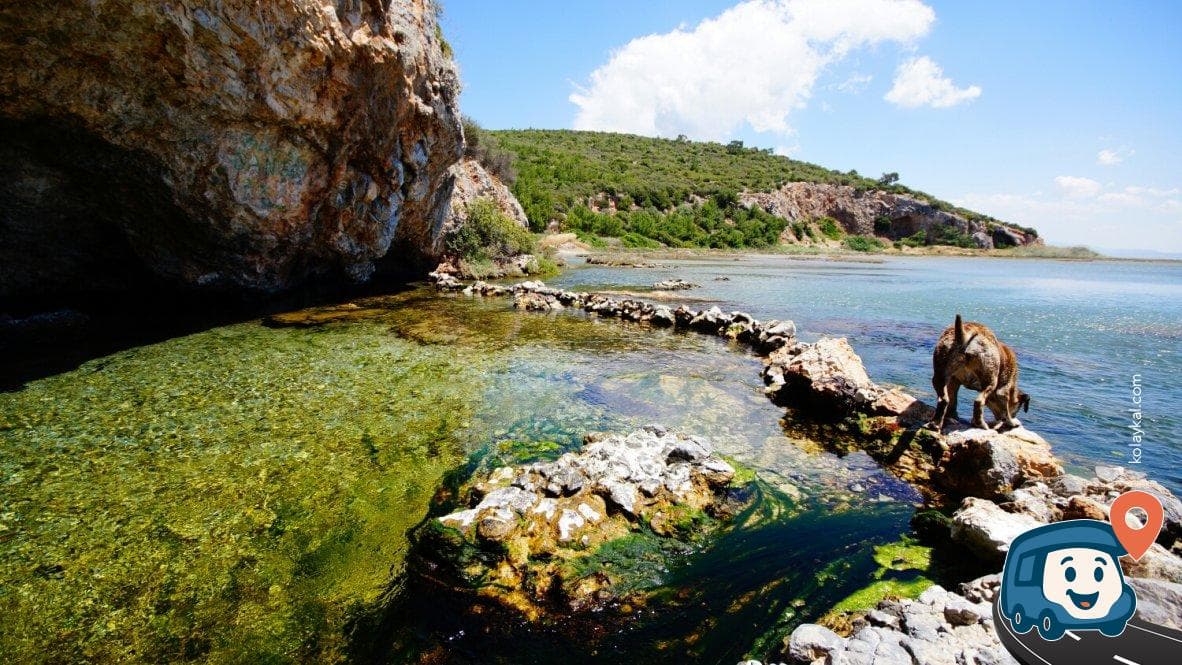 Tuzlu Su Kaynağı - Söke, Aydın, foto 3