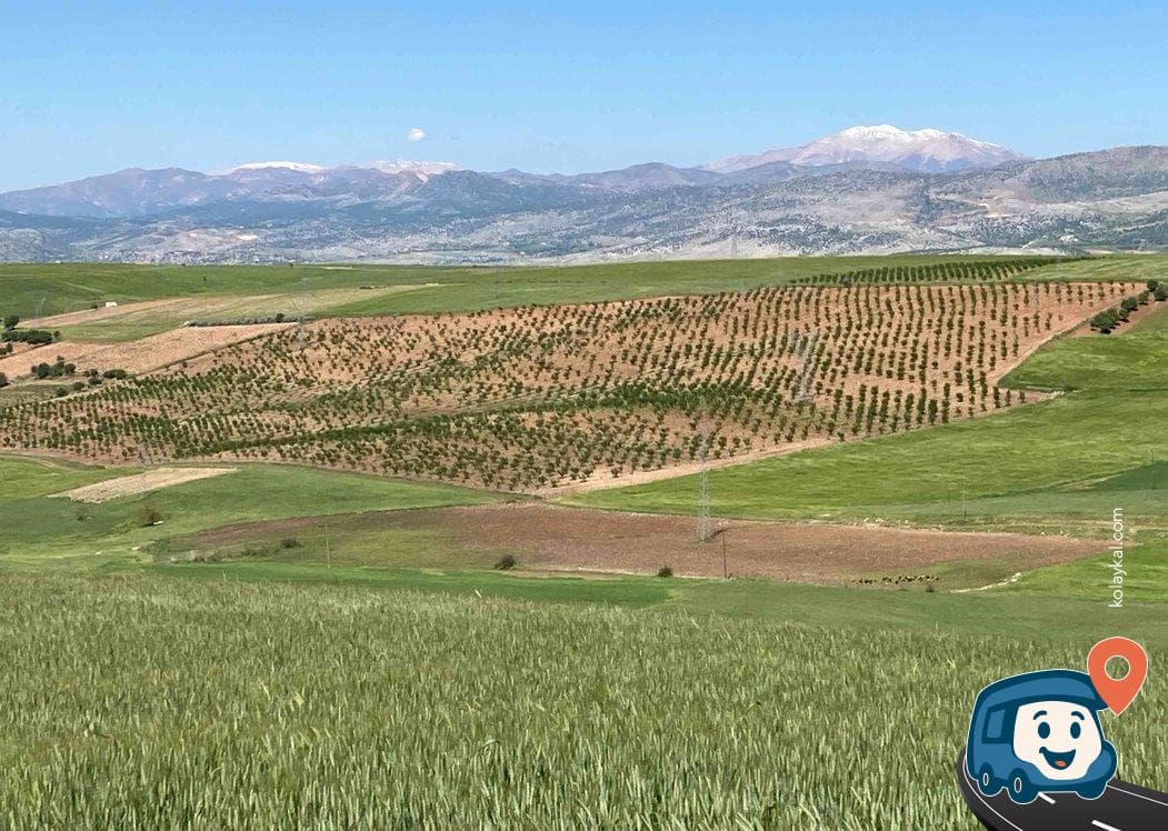 Karakuş Büfe - Kâhta, Adıyaman, foto 3