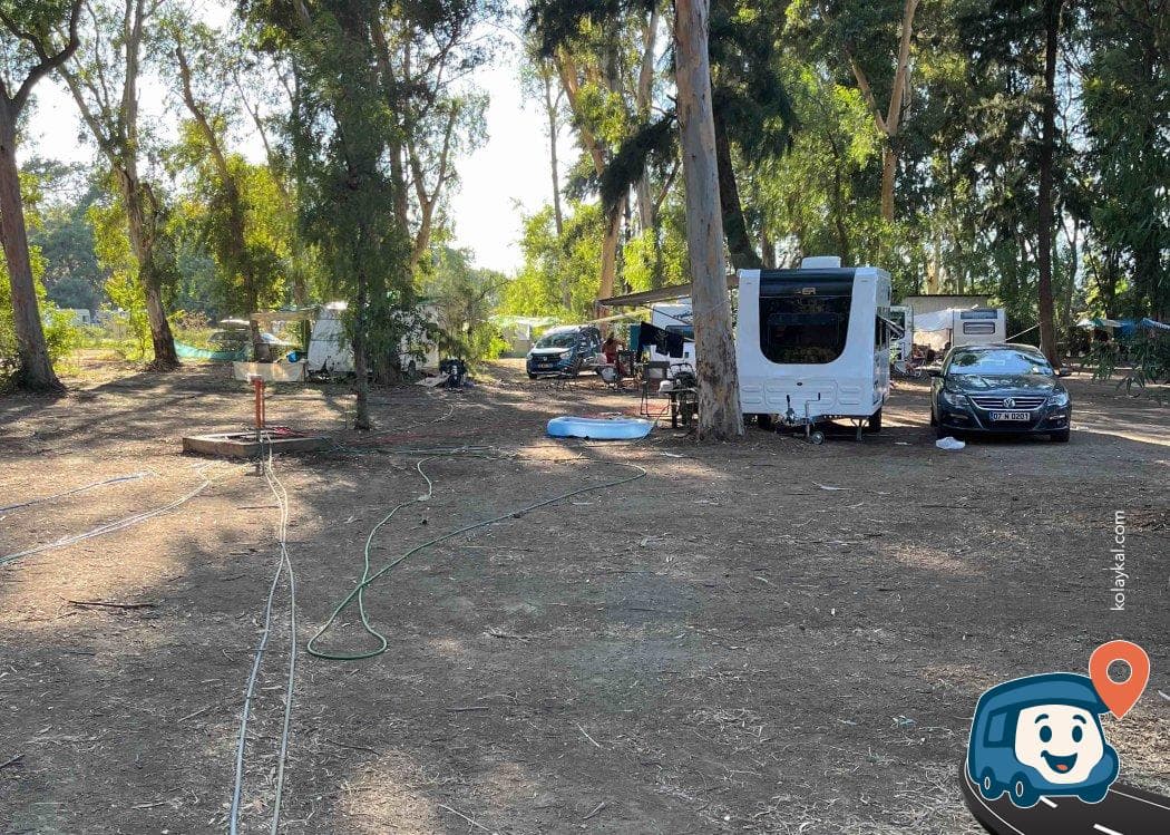 Sakin Vahşi Kamp Yeri - Menderes, İzmir, foto 5