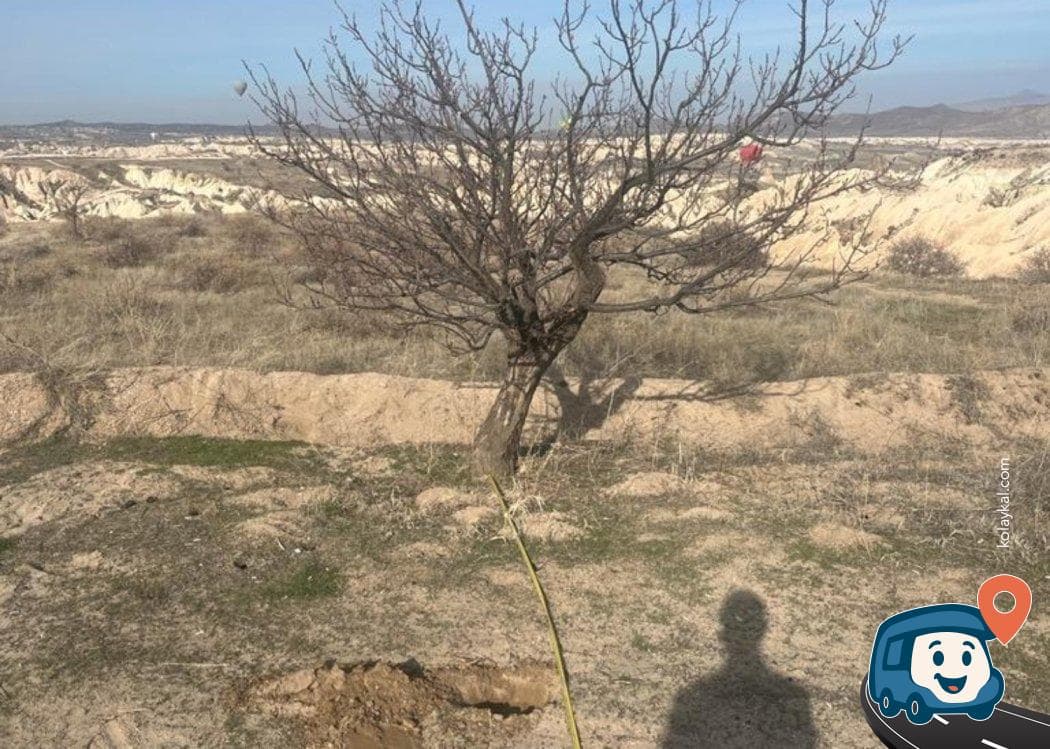 Kızıl Vadi Kamp Alanı - Avanos, Nevşehir, foto 2