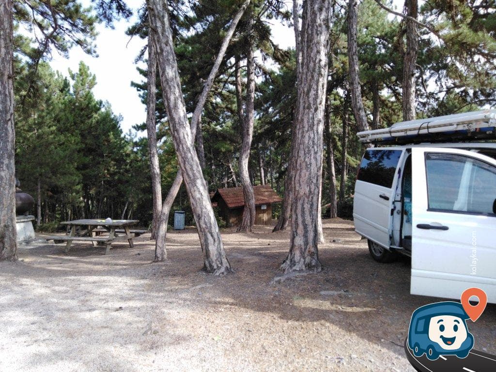 Soğuksu Milli Parkı Piknik Alanı - Kızılcahamam, Ankara, foto 1