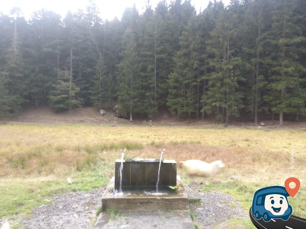 Ardahan Yüksek Rakım Kamp ve Piknik Alanı - Şavşat, Artvin, foto 2