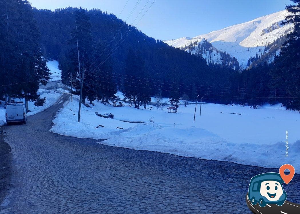 Ardahan Yüksek Rakım Kamp ve Piknik Alanı - Şavşat, Artvin, foto 3