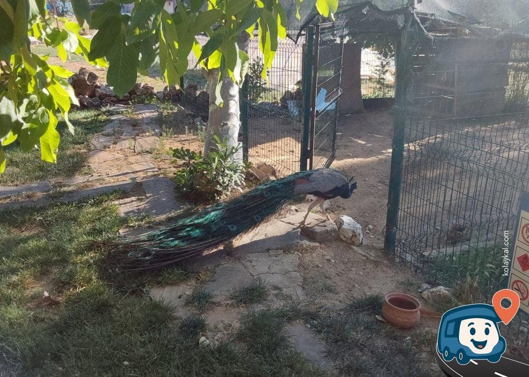Anatolia Restoran, Otel, Bungalov ve Kamp Alanı - Karacasu, Aydın, foto 7