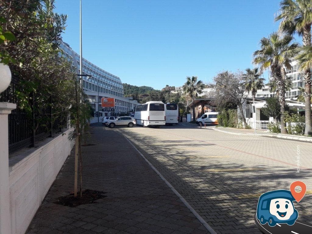 Ilica Veteriner Kliniği - Marmaris, Muğla, foto 2