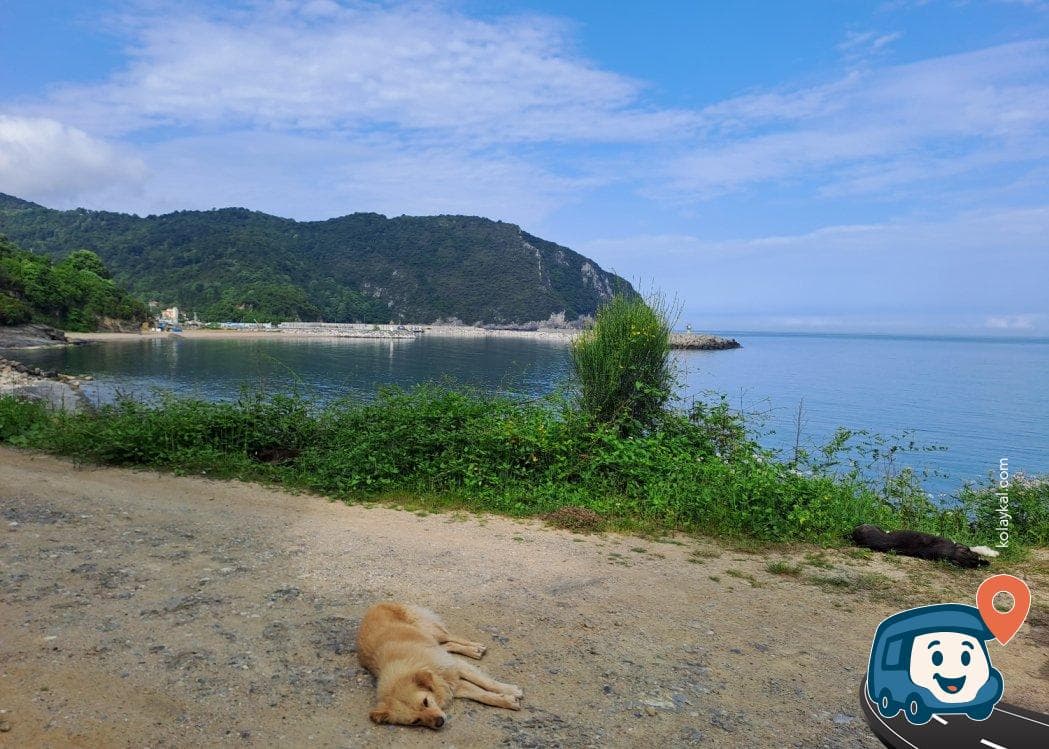 Amasra Tekke Tepesi Kamp ve Manzara Noktası - Bartın, foto 3