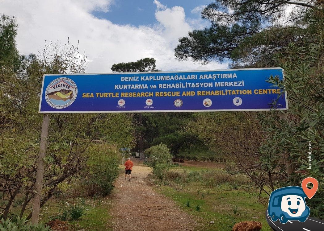 İztuzu Plajı Otoparkı - Ortaca, Muğla, foto 2