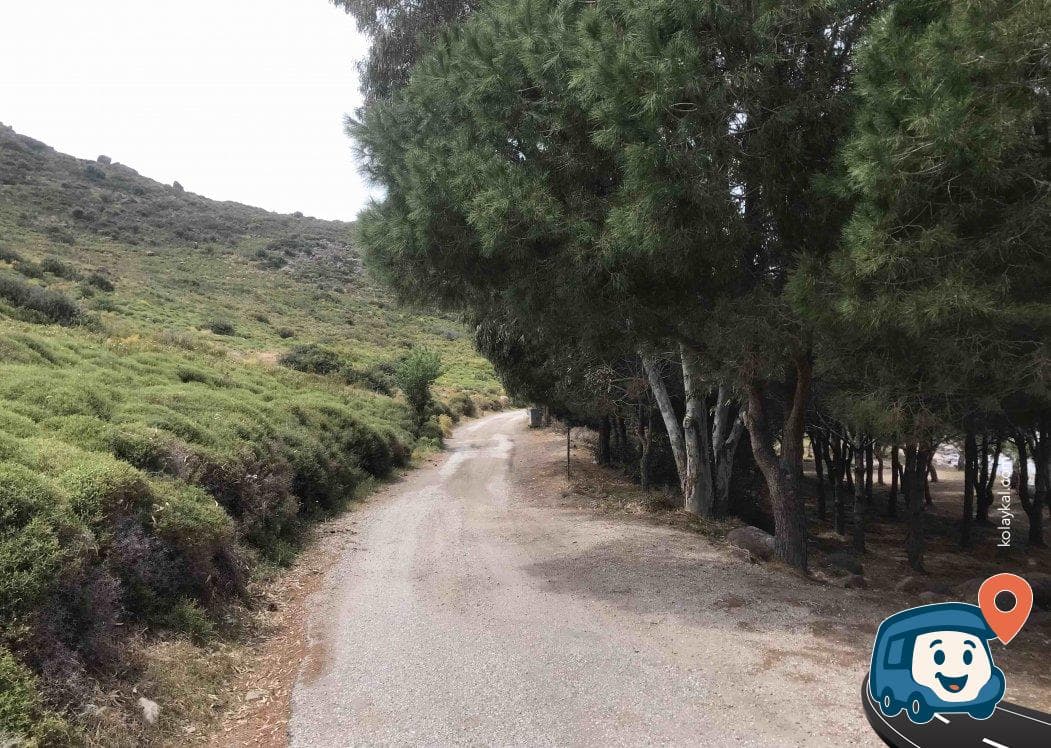 Gökova Körfezi Kamp Alanı Orman ve Plaj Kenarı - Bodrum, Muğla, foto 4