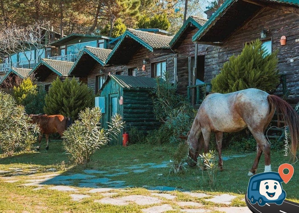 Akkaya International Camping - Şile, İstanbul, foto 2