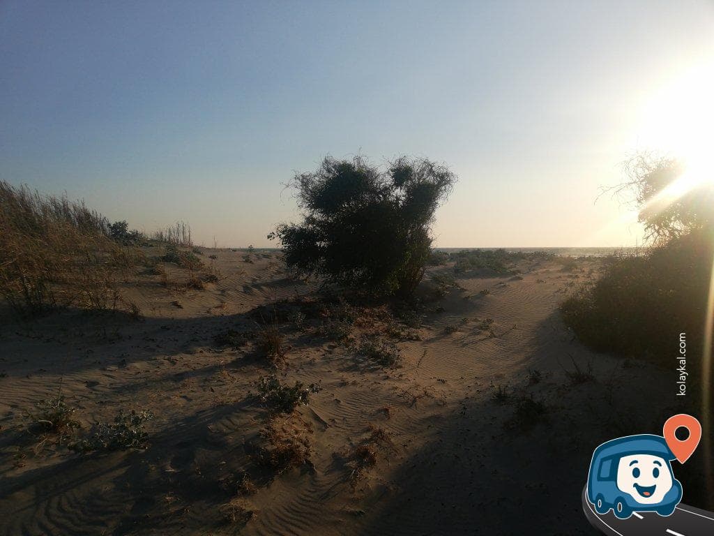 Patara Plajı - Seydikemer, Muğla, foto 3