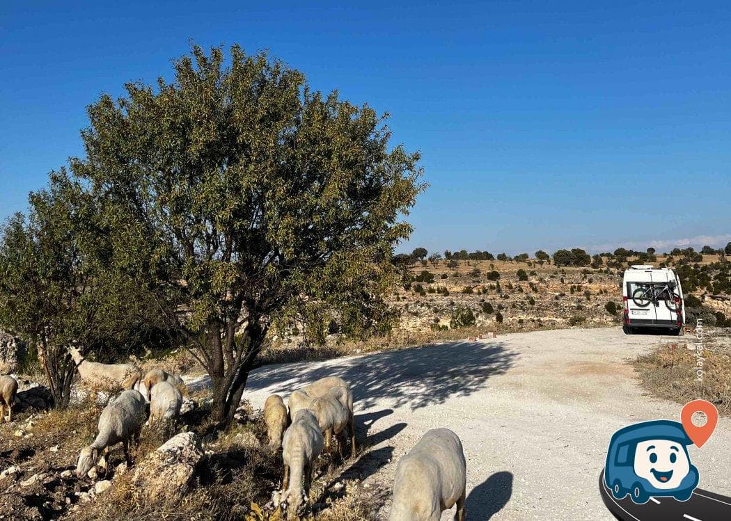 Kanyon Manzaralı Kamp ve Seyahat Alanı - Ulubey, Uşak, foto 3