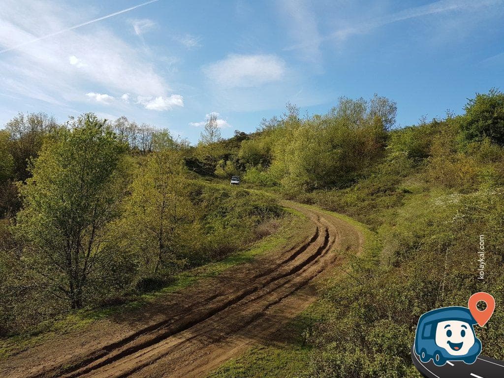 Gölcük Orman İçi Piknik Alanı - Kocaeli, foto 1