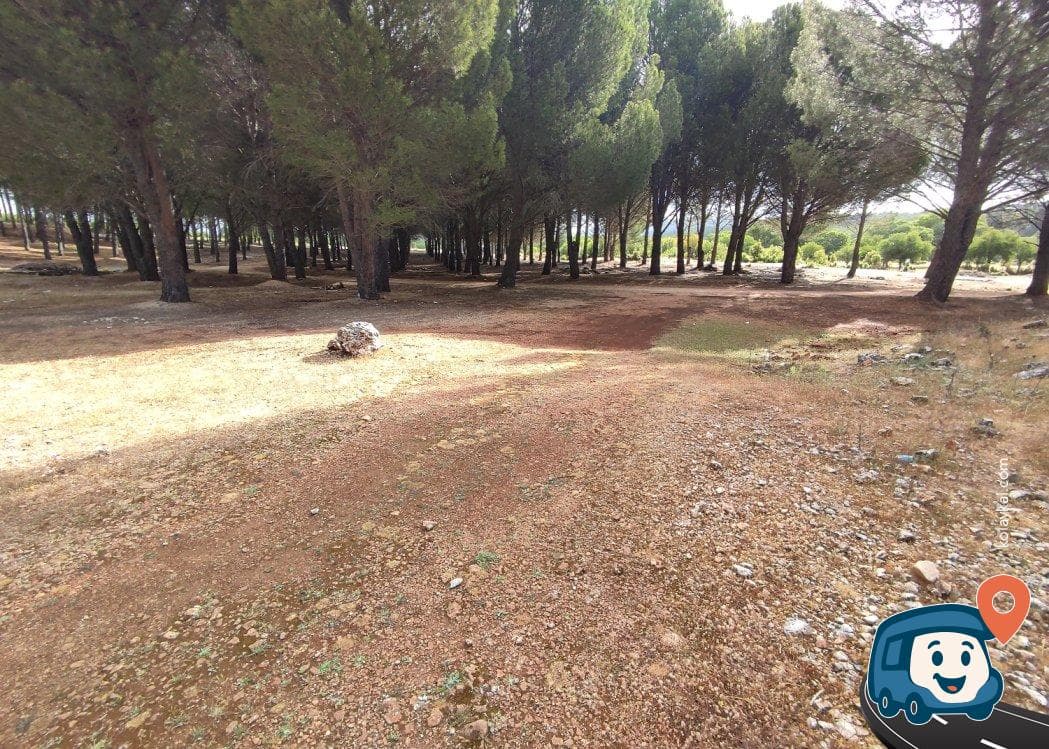 Kaş Orman İçi Kamp Alanı - Antalya, foto 4