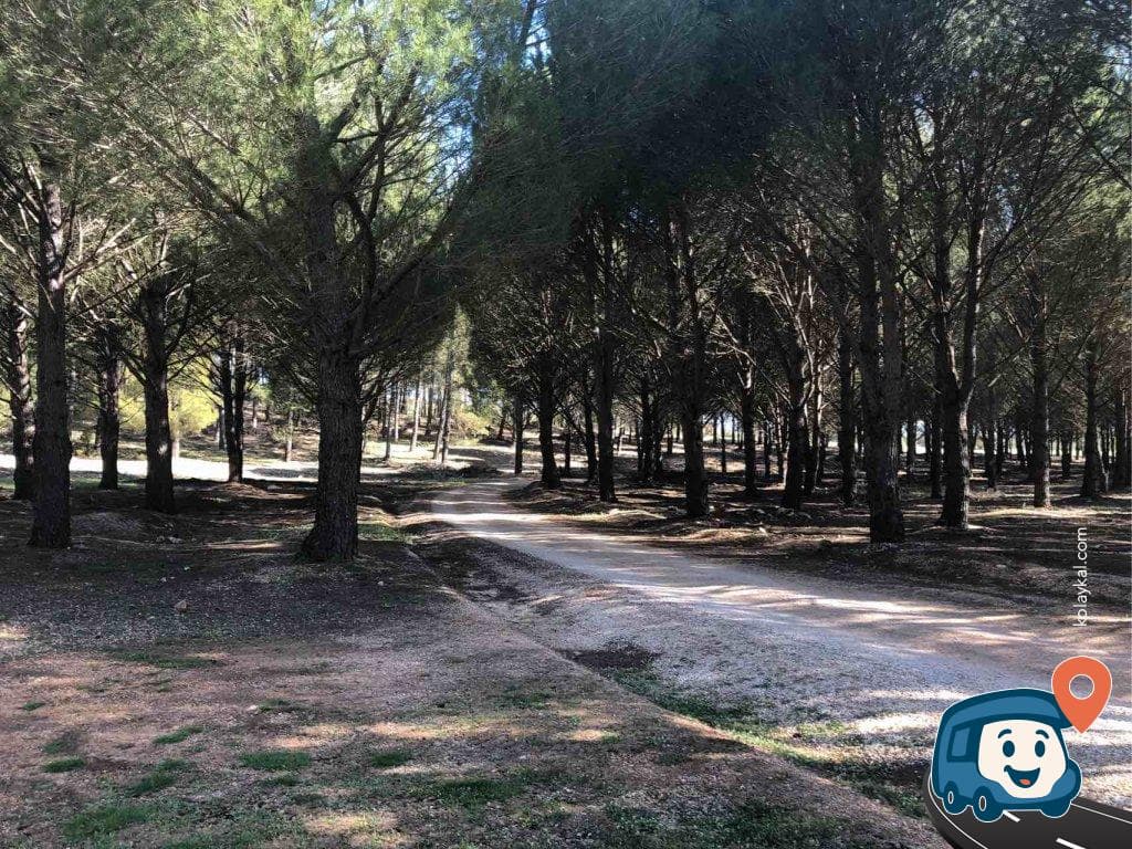 Kaş Orman İçi Kamp Alanı - Antalya, foto 1