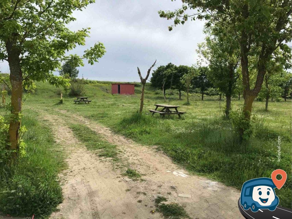 Çim Piknik Alanı - Havsa, Edirne, foto 2
