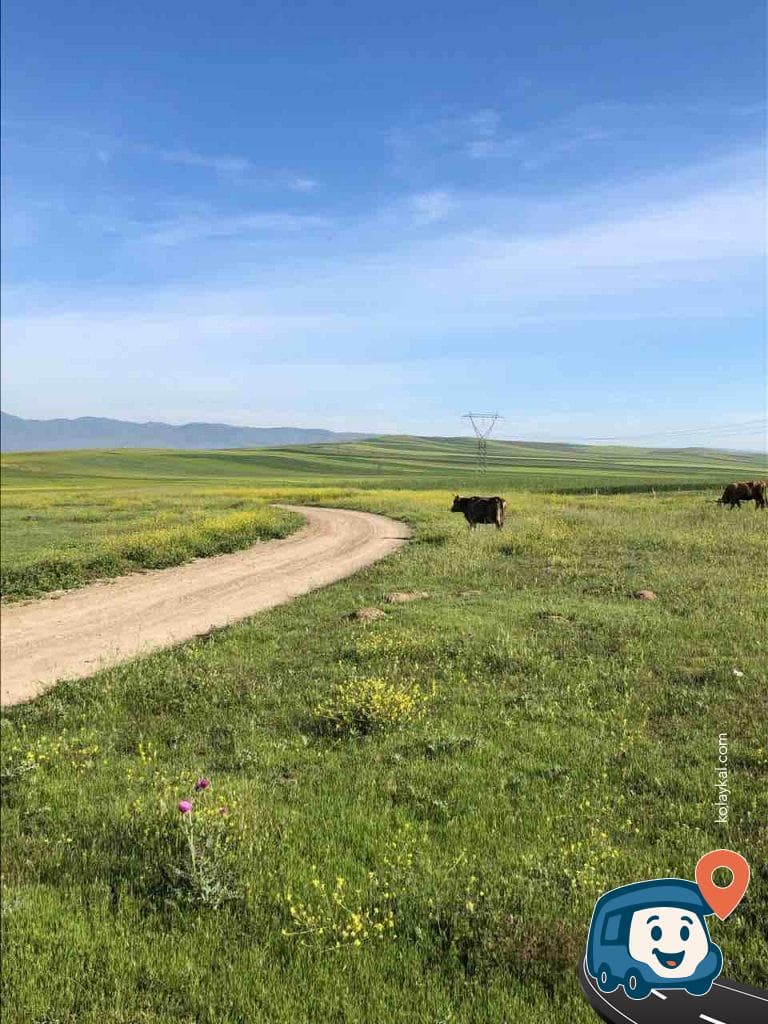 Göl Yakını Vahşi Kamp Alanı - Suluova, Amasya, foto 2