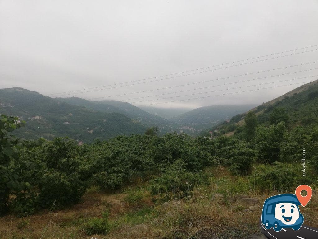 Akçaabat Fındık Bahçesi Kamp Alanı - Trabzon, foto 1