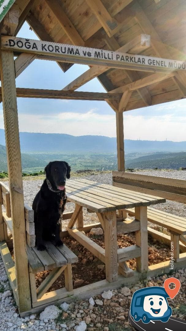 Dinar Yakınlarında Çitlerle Çevrili Kamp Alanı - Afyonkarahisar, foto 1