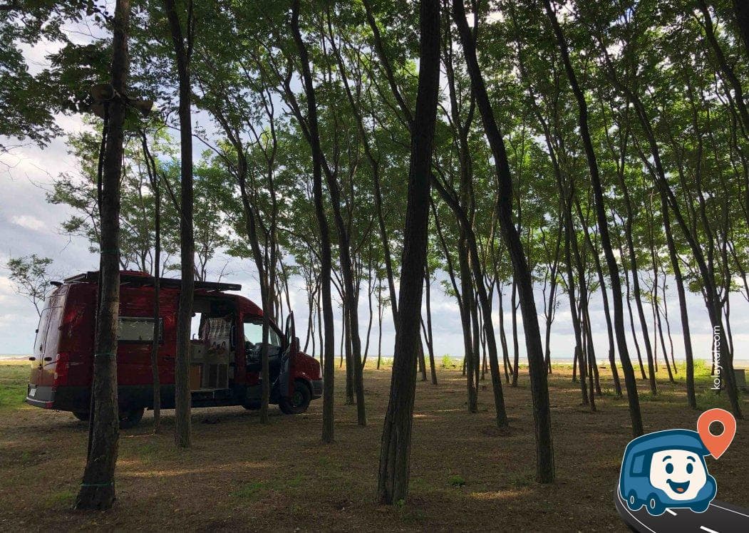 Terme Sahili Kamp Alanı - Ünye, Ordu, foto 2