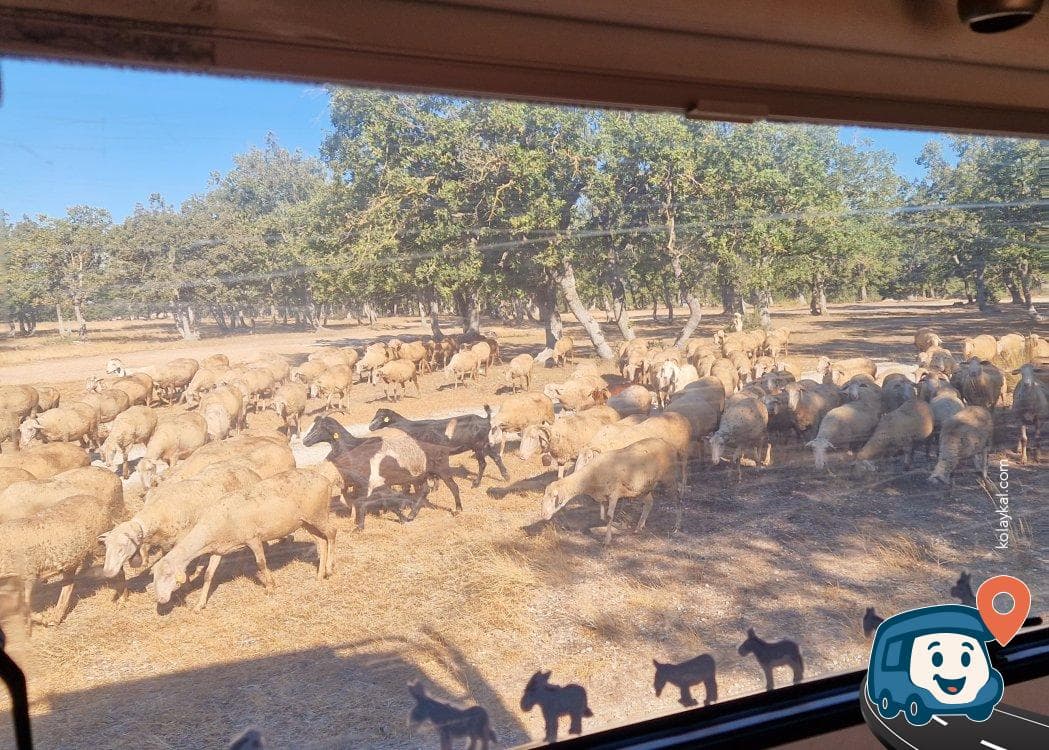 Kırklareli Dereköy Yakınlarında Kamp ve Mola Yeri - Vize, foto 5