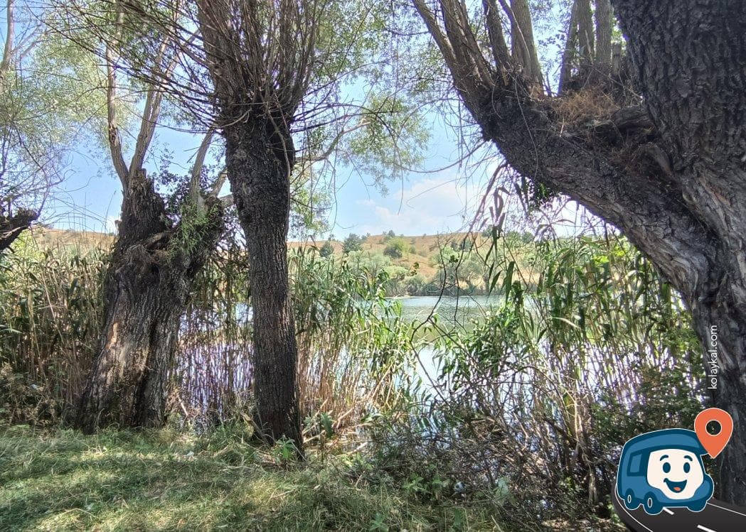 Gölet Kamp Alanı - Gerede, Bolu, foto 4