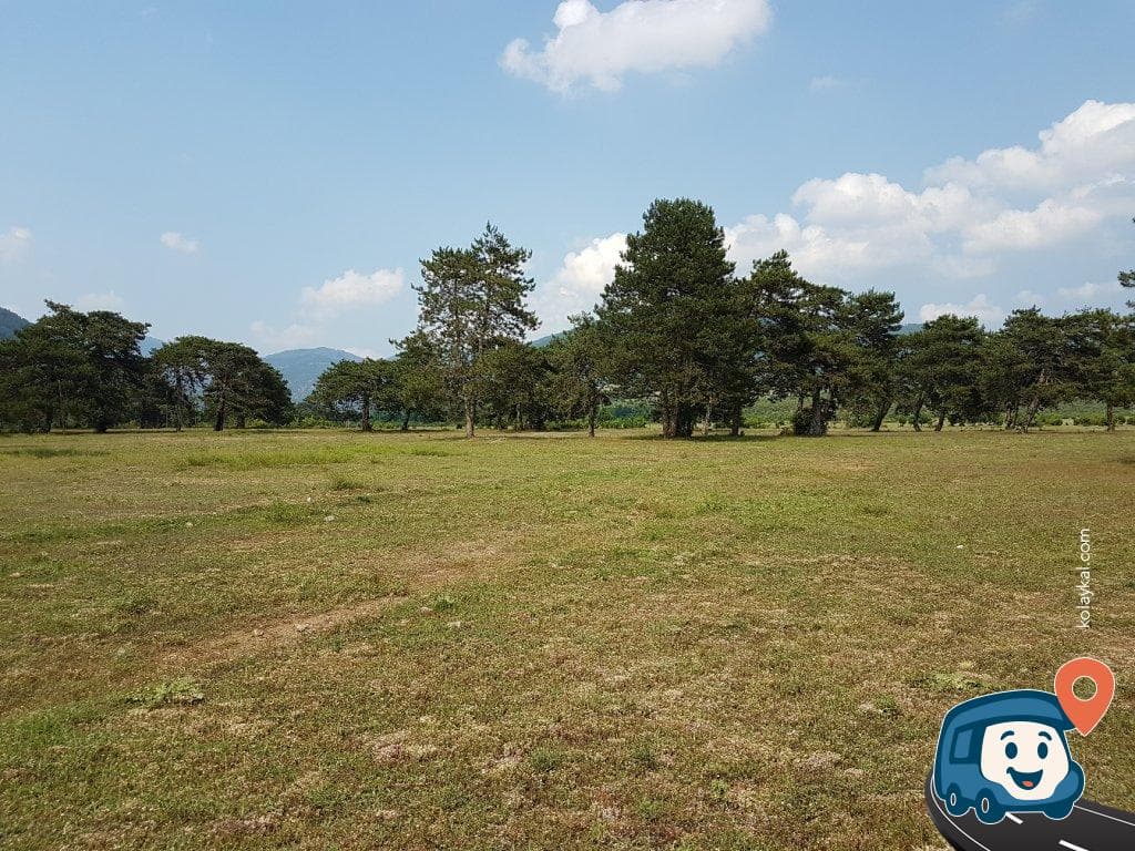 Devrek Sakin Orman Kamp Alanı - Zonguldak, foto 2