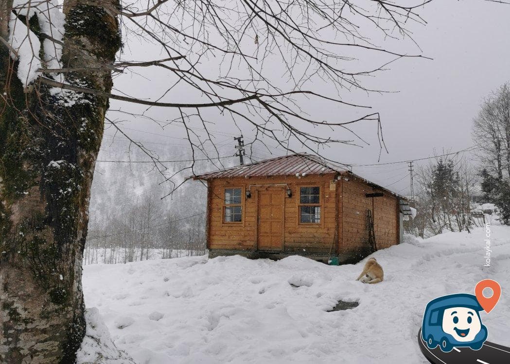 Odun Ateşinde Çay (yaşar Gopal) - Borçka, Artvin, foto 2