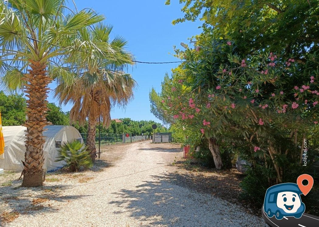222 Camping - Kemer, Antalya, foto 3