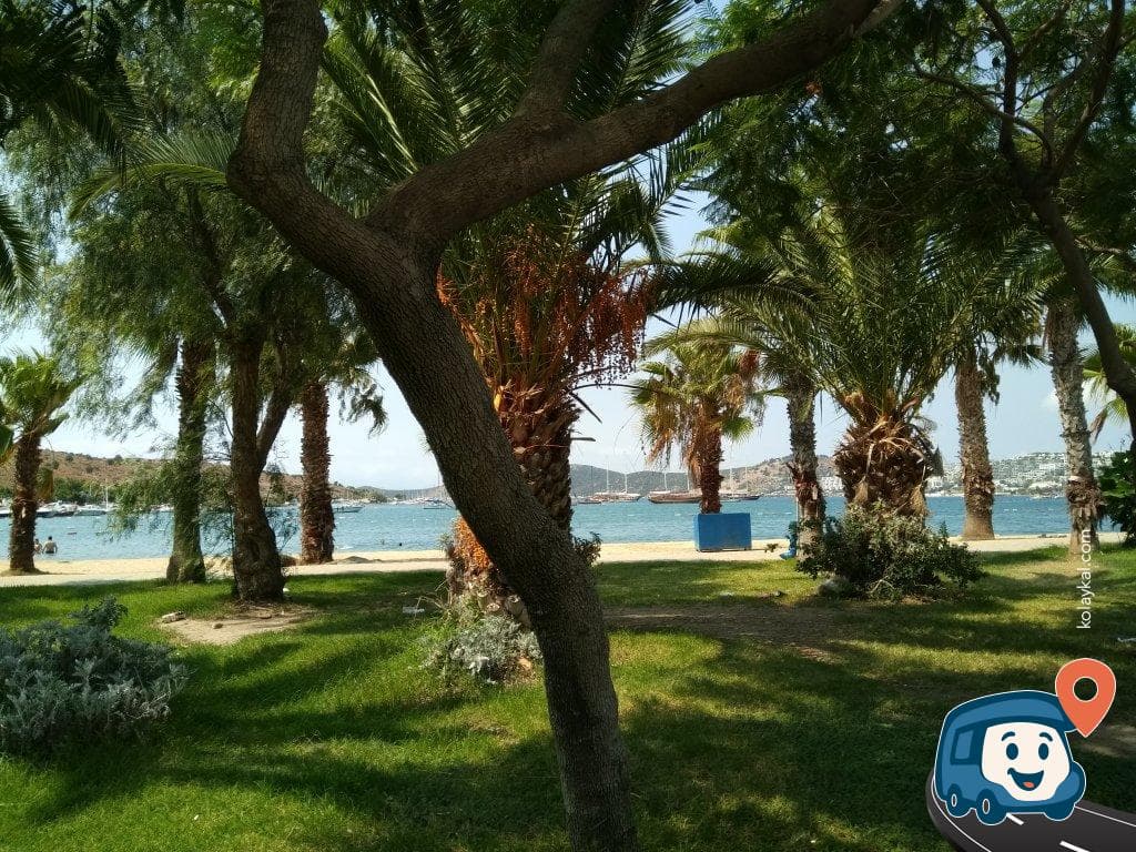 Gümbet Belediye Kafe ve Kamp Alanı - Bodrum, Muğla, foto 4