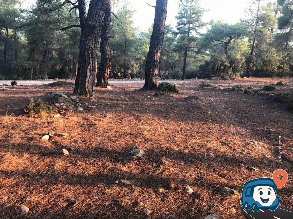 Kabak Koyu Yakınında Sakin Kamp Alanı - Seydikemer, Muğla, foto 3