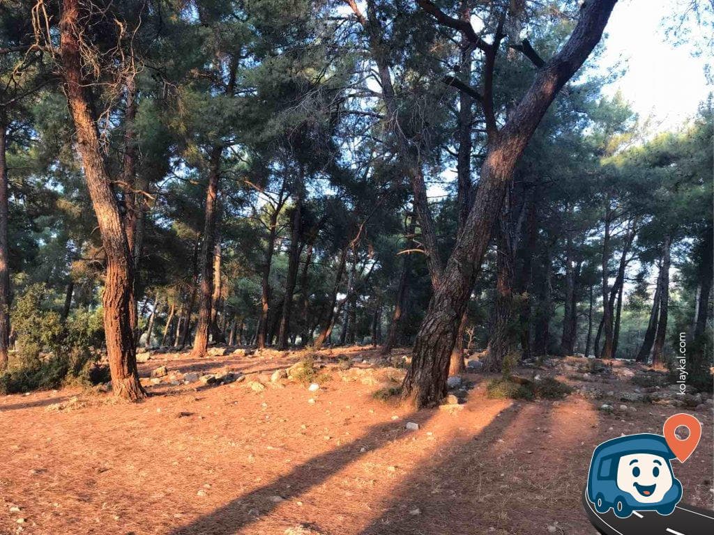 Kabak Koyu Yakınında Sakin Kamp Alanı - Seydikemer, Muğla, foto 1