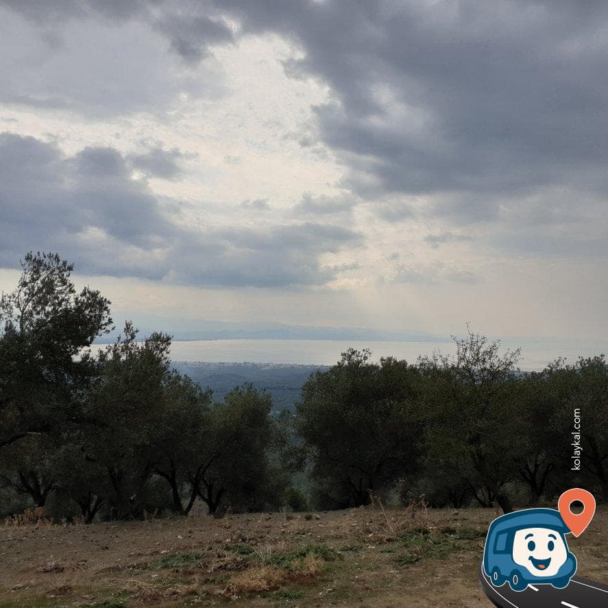 Edremit Zeytinlik Kamp Alanı Midilli Adası Manzaralı - Balıkesir, foto 2