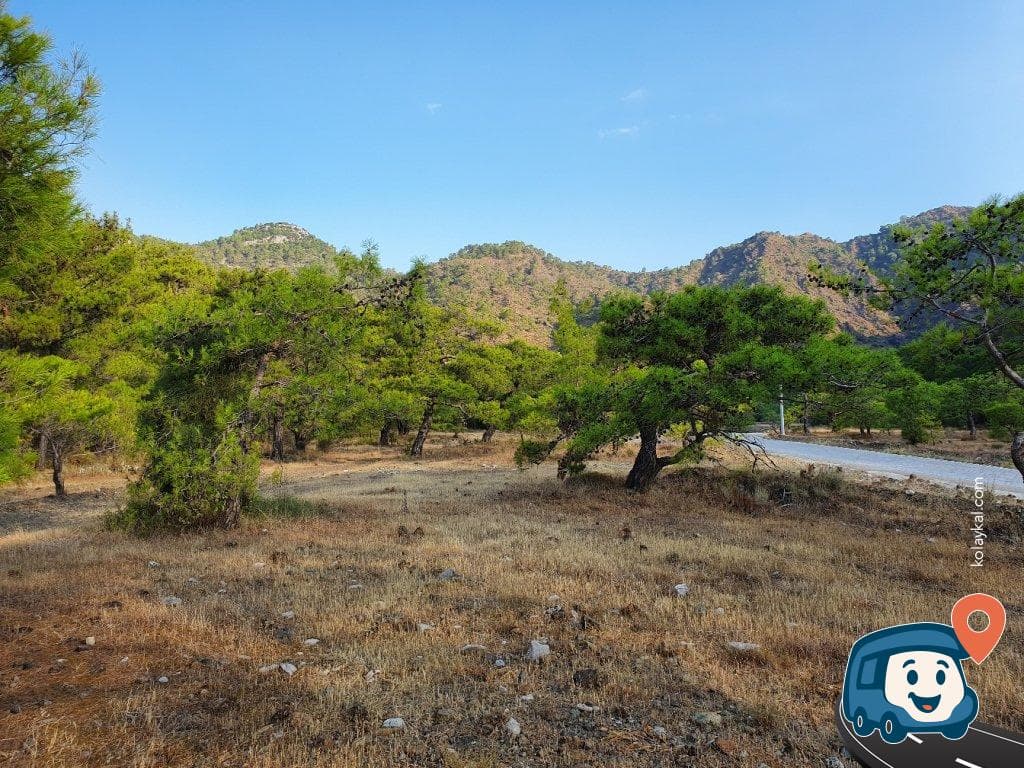 Chimère Vahşi Kamp Alanı - Kemer, Antalya, foto 3