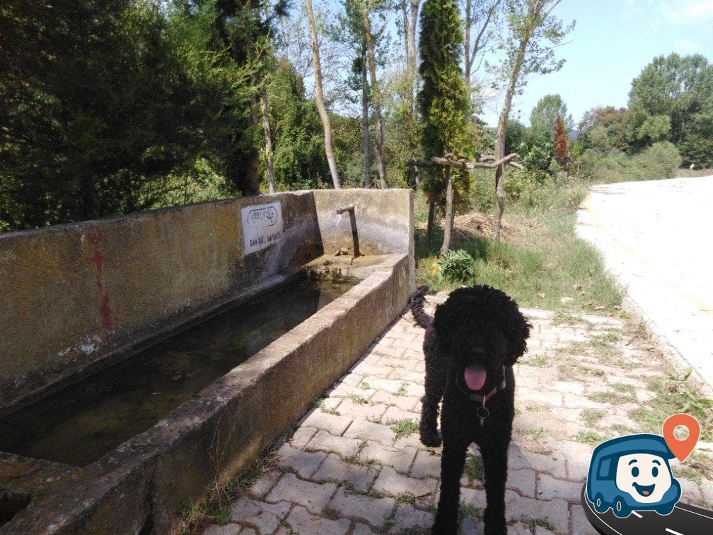 Dağoğlu Temiz Su Kaynağı - İzmit, Kocaeli, foto 2