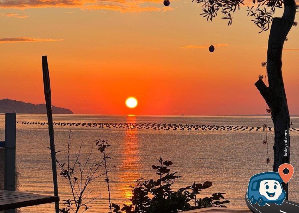 Sırakayalar Kamp & Karavan - Gemli̇k, Bursa, foto 4